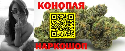 гидропоника Нальчик