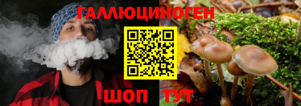 Галлюциногенные грибы MAGIC MUSHROOMS  Вход с VPN  Сочи 